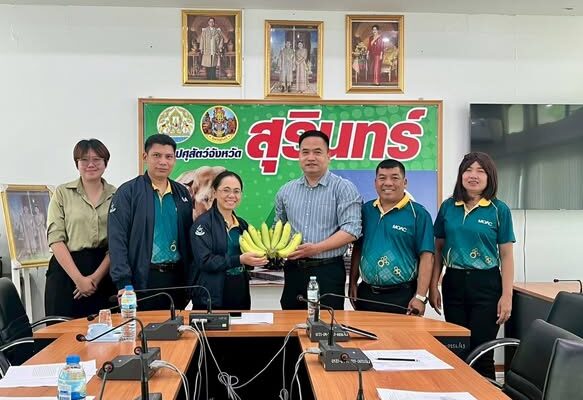 สศท.5 ร่วมกับสำนักงานปศุสัตว์จังหวัดสุรินทร์ติดตามการดำเนินงานโครงการพัฒนาศักยภาพการผลิต และการตลาดโคเนื้อสุรินทร์วากิวครบวงจรเพื่อเพิ่มขีดความสามารถในการแข่งขันให้เกษตรกร (FTA)